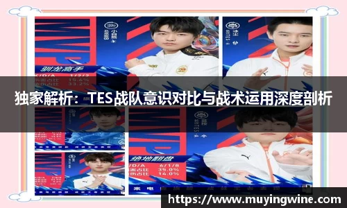 独家解析：TES战队意识对比与战术运用深度剖析