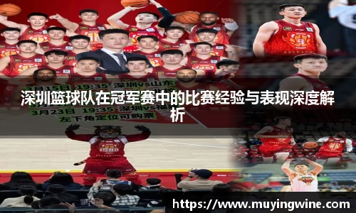深圳篮球队在冠军赛中的比赛经验与表现深度解析