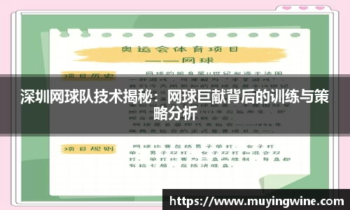 深圳网球队技术揭秘：网球巨献背后的训练与策略分析