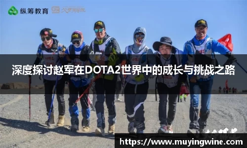 深度探讨赵军在DOTA2世界中的成长与挑战之路